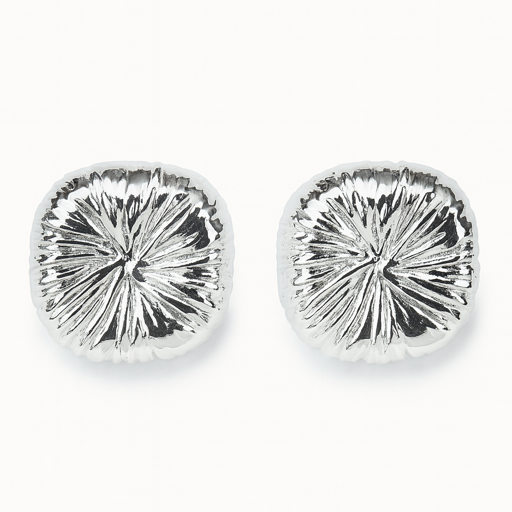 Impressive silver stud earring