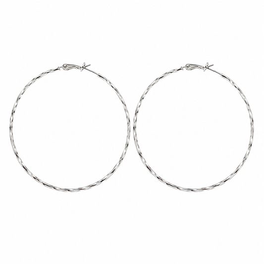 Silver  Loop Earrings