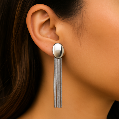 Fancy chain type silver earring