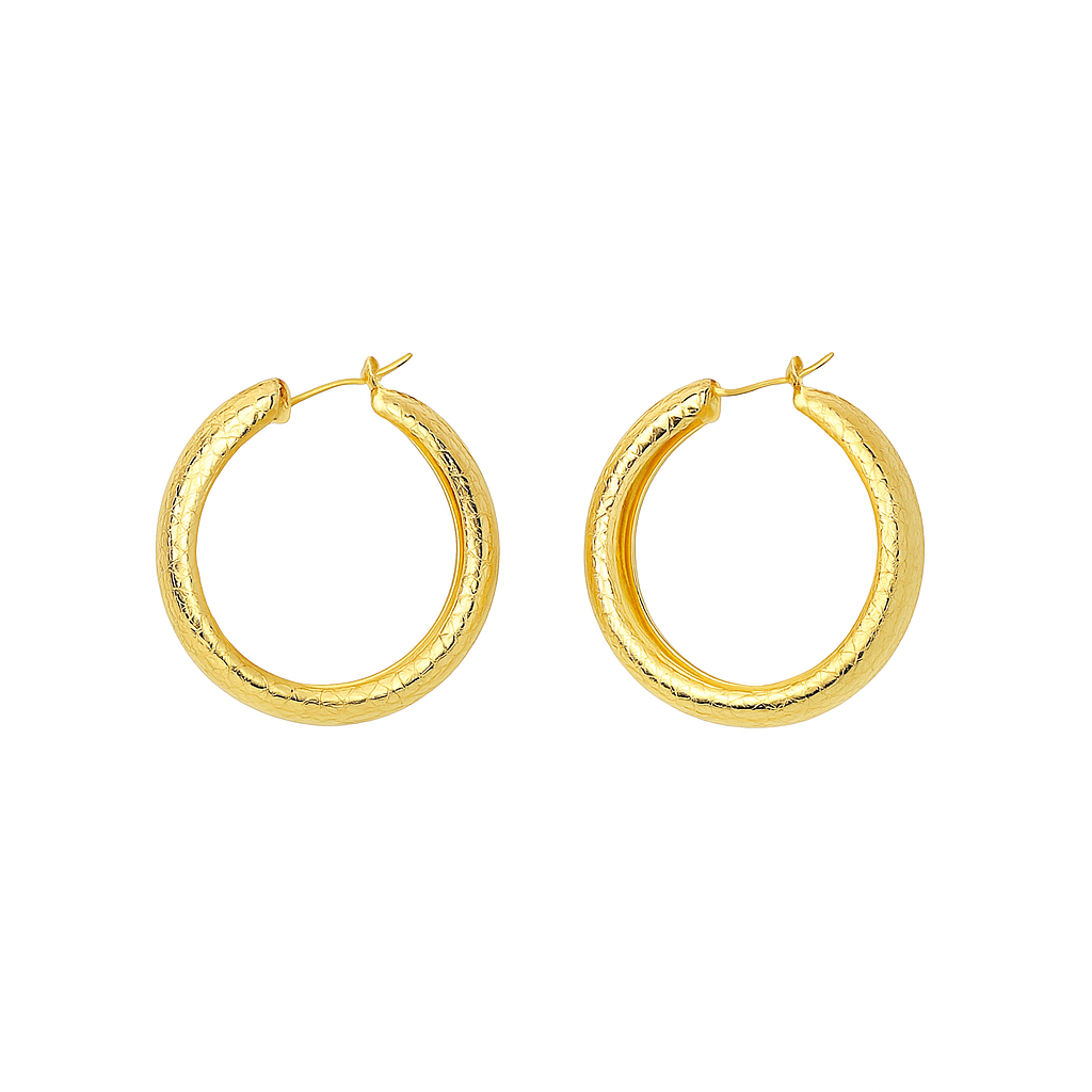 Big  circle matt gold earring